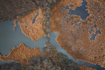 Landscape from aerial view