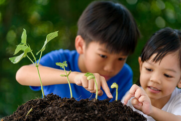 Young Asian boy and girl take care seedling
