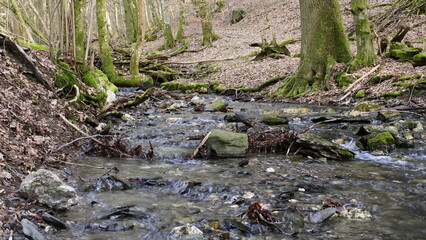Am Bachlauf