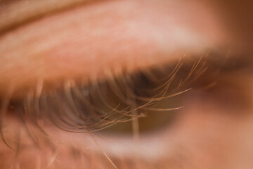 male eye close up. eyelashes in macro. upper and lower eyelid