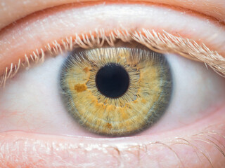 Human eye close up detail