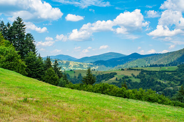 meadow covered with grass on a background of mountains and forests.