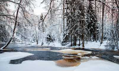The wild frozen small river in the winter wood, the wild nature at sunset, the river of red color, ice, snow-covered trees