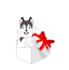 dog in the box. Gift concept