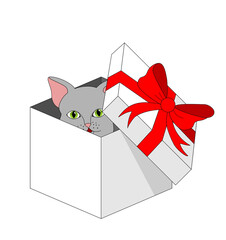 Gift box with a cat