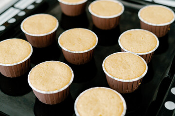 freshly baked cupcakes on a black protvin background.Food for breakfast. Freshly baked cupcakes for dessert. Foodies and cuisine.