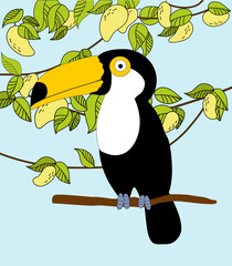 big cute toucan on a ripe mango background. Vector image.