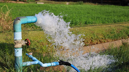 Water flowing out of PVC pipe. Silver high water pressure gushes from the water pump pipe into a small canal in an agricultural farm on a green plant background with a copy area. Selective focus