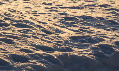 Sun lighting up a snow bank