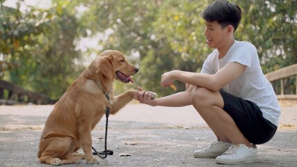 Young Asian man playing with a golden retriever dog and smiling together after jogging at outdoor park on evening, Enjoy to play with dog near young man and they sit on sidewalk of bridge.