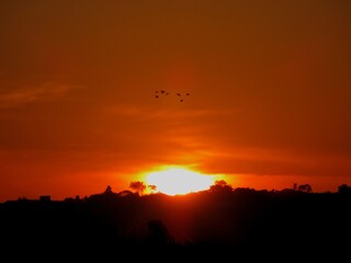 The beautiful appearance of sun rising behind clouds and sun rays coming down to a dense forest