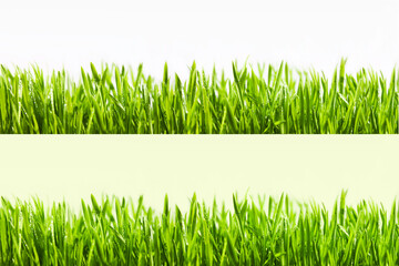 Big horizontal Grass Borders Set