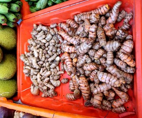Curcuma amada, or mango ginger is a plant of the ginger family Zingiberaceae and is closely related...