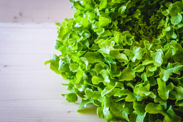 Green fresh lettuce salad (closeup detail).