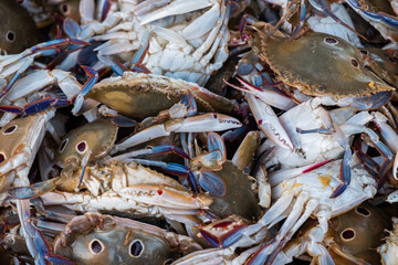 Close-Up Of Carbs In Mug