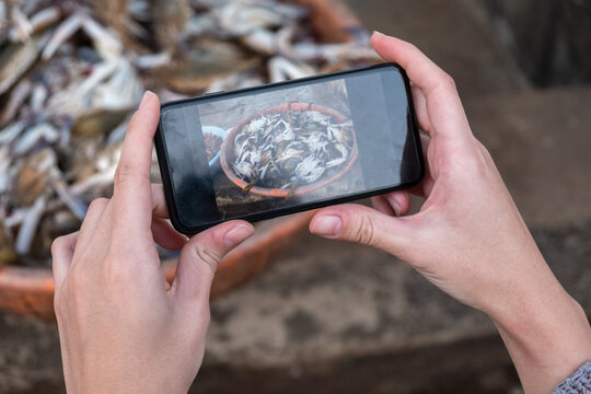 Cropped Hand Of Person Photographing Fishes In Mug With Mobile Phone