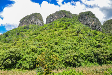 Landscape of the Valley of Viñales (Cuba)