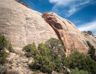 Historic Newspaper Rock Trail with hieroglyphics in canyonlands national park Utah