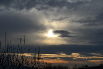 Sunset over the grandparents's garden