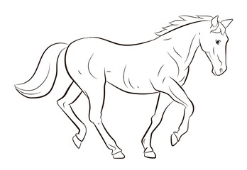 In the animal world. Horse image. Black and white drawing, coloring. © Ivan Voronov