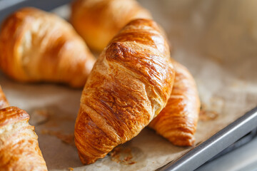 Croissant on tray - freshly baked pastry