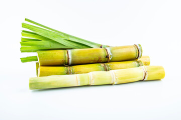 Fresh yellow sugar cane on white background