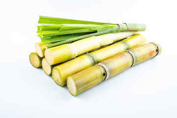 Fresh yellow sugar cane on white background