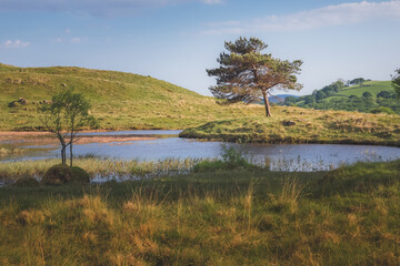 English countryside landscape at Kelly Hall Tarn at Coniston in the Lake District, Cumbria, England.