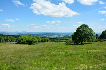 Fototapeta premium Trees and a green meadow on a mountain in the high Rhön with a view of the valley