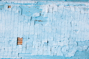 blue and white old wooden fence. wood background. planks texture, cracked paint
