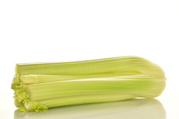 One light green organic celery stalk, close-up, isolated on white.