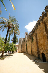 On The Ground Front Garden View of The Alcazar