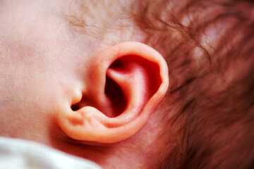 Großaufnahme des Ohres eines neugeborenen Babys