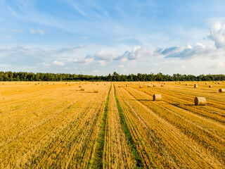 Aerial view of agricultural parcels of different crops. Hay bale fields and farmlands of Lithuania.