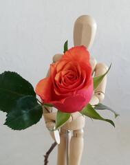 Walentynki z różą.