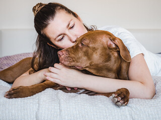 Charming, adorable puppy of brown color and a cute woman. Close-up, indoor. Day light. Concept of care, education, obedience training, raising pets