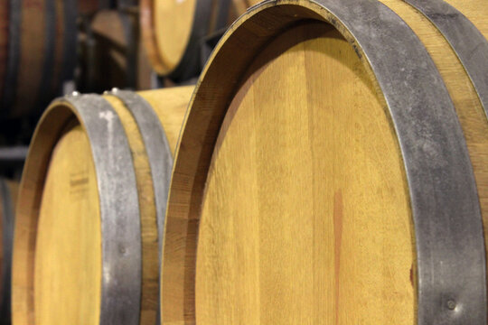 Oak barrels stacked in a wine cellar, Paarl, Cape Winelands, South Africa