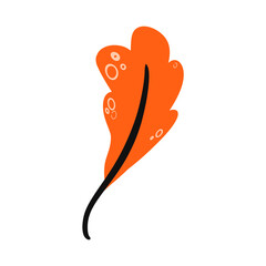 Illustration of spring colorful orange leaf, leaves icon in flat style for holiday on white background
