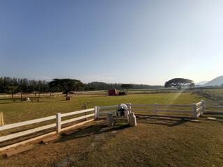 Fototapeta na wymiar The dry grass lawn with white fence in the farm