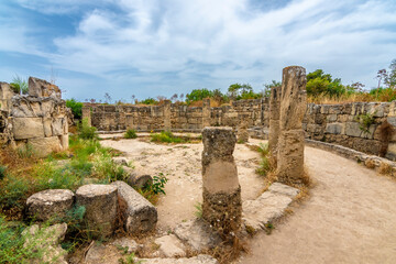 Fototapeta premium The Salamis Ancient City in Northern Cyprus
