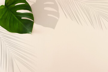 Green tropical leaf shadows on pastel beige  color background.