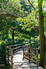 Narrow foot bridge over river