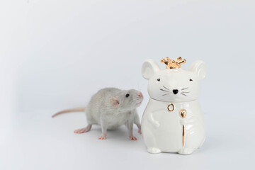 A decorative grey cute rat stands next to a porcelain figurine in the shape of a rat wearing a royal golden crown.