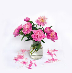 Pink peonies in glass vase, pink petals on a light background with space for text