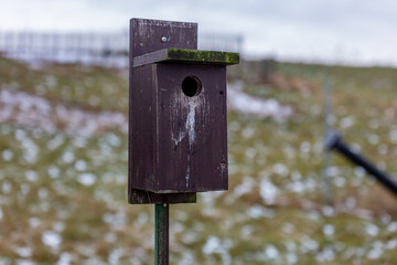Big wooden birdhouse on a pole