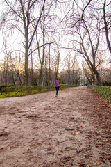 Fototapeta premium Path in Retiro park, Madrid, Spain