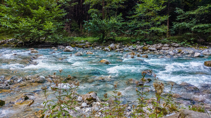 Fototapeta na wymiar Mountain river in Abkhazia