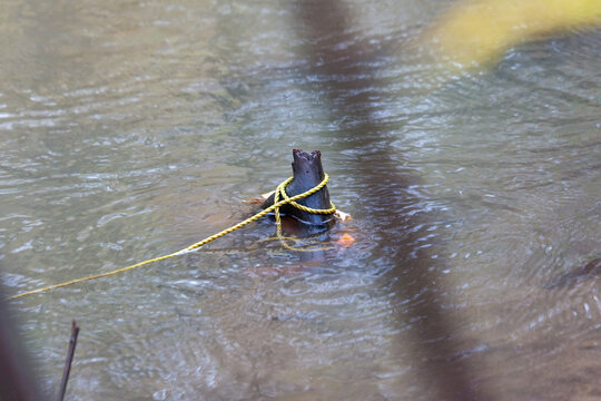Rope attached to a piece of wood in the water