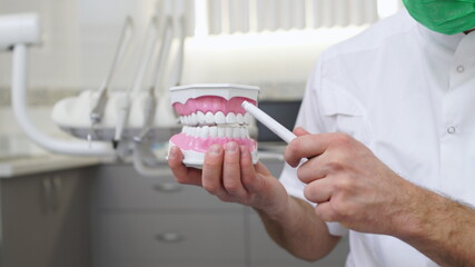 Close up of male dentist holding jaw teeth model and explaining something. Demonstration of oral...