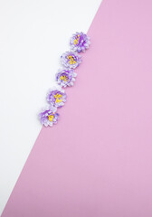 Three magenta blooms getting out from violet to white background.